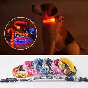 Rechargeable USB LED Pet Dog Glow Collar Night Safety Adjustable Flash Light-up - Picture 1 of 24