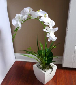 3 Pcs Artificial Plants Butterfly Orchid Flower With Grass Orchid Leaf (F35) - Picture 1 of 6