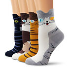 4PCS Women Students Funny Socks Cute Cartoon Fun Funky Cat Warm Ladies Sock