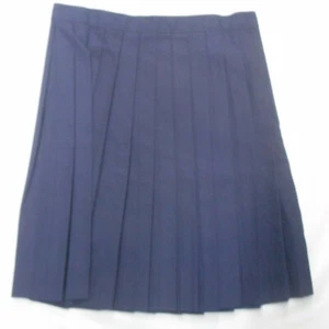 Falda uniforme plisada cuchillo azul marino para niñas A+ tallas 4 - 16 1/2 - Imagen 1 de 5