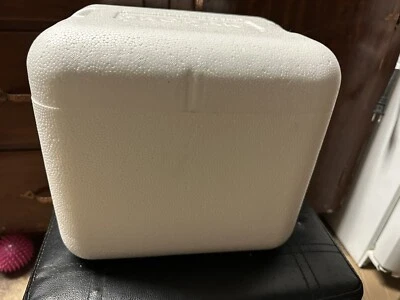 Propak Styrofoam Insulated Cooler in Shipping Box 6x8x7 & 2 Nordic Gel Ice Packs - Image 1 of 4