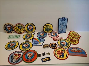 Lot Of 29 Vintage Cub Scout Patches/pins Detroit Area - Picture 1 of 7