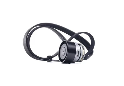 GATES K016PK1198 Juego de correas acanaladas para RENAULT CLIO II (BB0/1/2, CB0/1/2) - Imagen 1 de 4