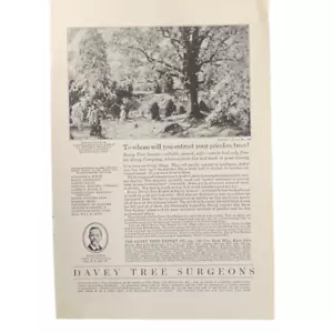 Vintage 1927 Davey Baumchirurgen unbezahlbare Bäume Werbung Werbung - Bild 1 von 3