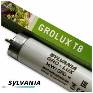 SYLVANIA 0000043 NEON FLUORESCENTE GROLUX T8 PIANTE E ACQUARI G13 14W - 361MM - Foto 1 di 3