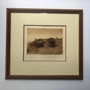 Edward S. Curtis American Indian Framed Photogravure BUFFALO MED ARIKARA 15”x14” - Picture 1 of 8