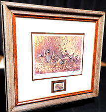 Herb Booth 1996 Texas Quail Stamp Print With Stamp Mint - Brand New Custom Frame