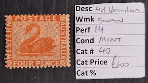 1861 Western Australia 4d Vermilion Swan stamp P14at Somerset House Mint Cat£600 - Picture 1 of 3