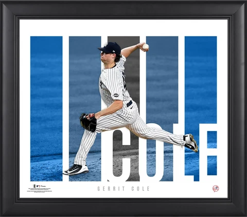 Gerrit Cole New York Yankees Framed 15'' x 17'' Player Panel Collage Cover