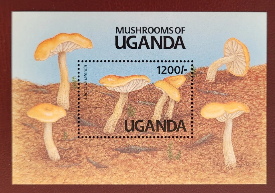 Уганда 1991 / Грибы Уганды / 1v ms - Изображение 1 из 1