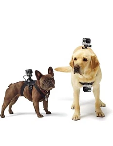 Accesorios GoPro Fetch arnés para perros - adecuado para HERO4/HERO3+/HERO3/HD HERO2 - Imagen 1 de 3