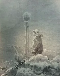 1882 In viaggio intorno a Capo Horn illustrato - Foto 1 di 6