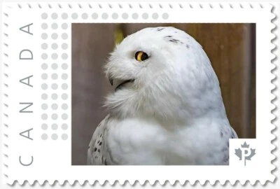 SNOWY OWL = BIRD OF PREY ** Picture Postage Canada 2019 p19-04-s17 MNH - Image 1 of 2