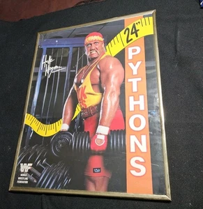 vtg 1989 Hulk Hogan WWF 24” Pythons  Framed Wrestling Poster 16"x20" - Picture 1 of 3