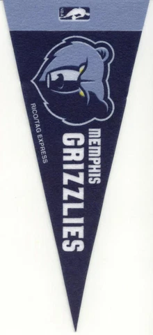 MEMPHIS GRIZZLIES PENNANT NBA MINI FELT 9" LONG OFFICIALLY LICENSED BASKETBALL Cover