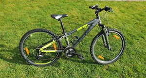 Kinderfahrrad Carver Strict 24 - Bild 1 von 16