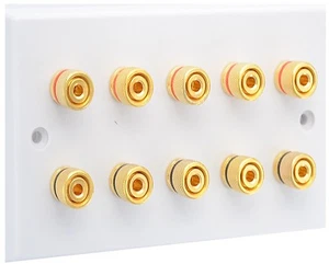Placa frontal de pared para altavoz de audio 5.0 dorada 10 postes de unión blanca - Imagen 1 de 6