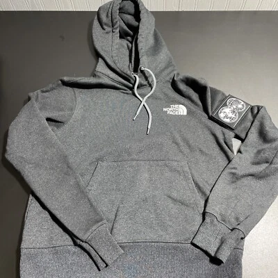 Sudadera gris con capucha The North Face parche Summit en la manga talla pequeña Foto 1 de 4