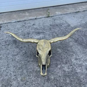 Scultura vintage metà secolo ottone Texas longhorn testa teschio sterzo da appendere a parete - Foto 1 di 9