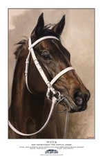 Winx 2018 Secretariado Vox Voz Do Povo Secretariado Poster Corrida De Cavalos Santa Anita