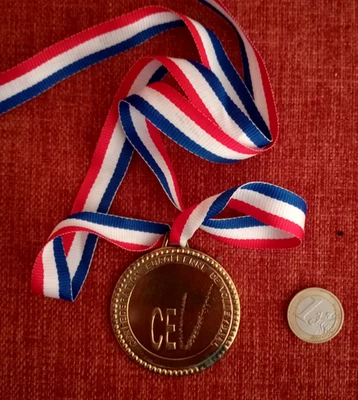 Medaglia Campione Coppa Europa CEV originale 1992 - Pallavolo Uomo - - Immagine 1 di 2