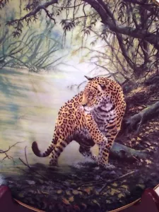 Tief im Dschungel Großkatzen der Welt Leopard nummeriert - Bild 1 von 11