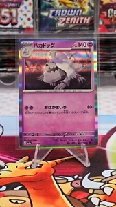 Houndstone 098/190 - SV4a - Shiny Treasure - Holo - Pokemon Card TCG - Japanese - Picture 1 of 2
