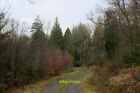 Photo 12x8 Leland Trail in Blackslough Wood Gasper  c2022