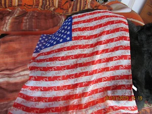 Damentuch Amerikanische Flagge Maße ca 60 cm x 60 cm - Bild 1 von 1