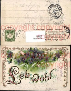 465255, estampado litográfico flores violetas campanilla de nieve Leh probablemente - Imagen 1 de 1