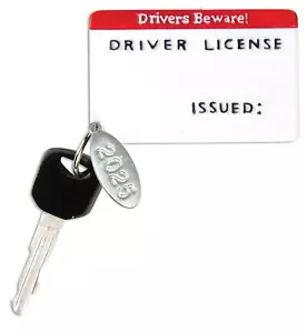 2025 New Driver License Christmas Ornament 16th Birthday Gift, To Personalize - Picture 1 of 7