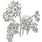 Sunflowers Wall Sticker Decal Transfer Flower Nature Design Home Matt Vinyl UK