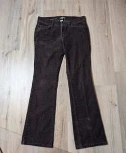 Ann Taylor Loft Corduroy Jeans Size 4 Petite Brown Modern Boot Pants Stretch - Picture 1 of 9