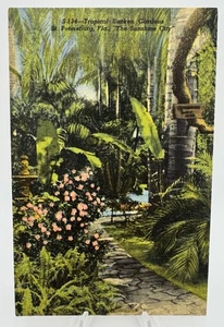 Postal de colección Tropical Sunken Gardens San Petersburgo, Florida Sunshine City - Imagen 1 de 16