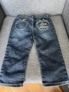 Y2K Apple Bottom Jeans Girls Sz 5 Low Rise Embroidered Pants - Picture 1 of 8