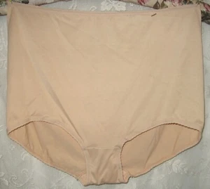 NEW VTG SZ 10 CABERNET SILKY SOFT HONEY BEIGE GRANNY STRETCH NYLON BRIEF PANTIES - Picture 1 of 4
