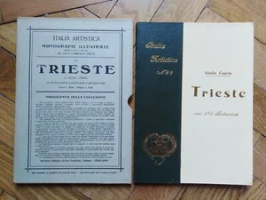TRIESTE Italia Artistica MONOGRAFIE ILLUSTRATE N. 22 1930 - Imagen 1 de 2