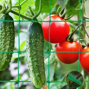 Trellis Netting 6.6x8.2ft Garden Mesh for Climbing Plants Vegetables Heavy Duty - Picture 1 of 7
