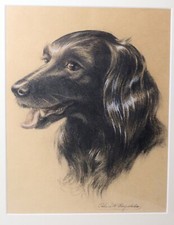 vintage original dog spaniel pastel portrait drawing sketch realism painting 