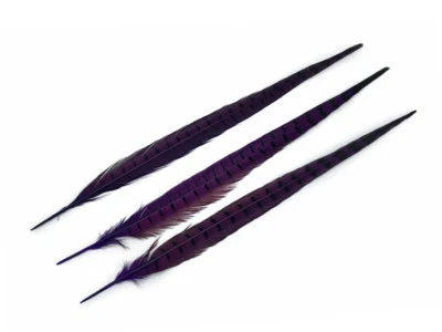 10 Pieces - 18-22" Purple Dye Over Natural Long Ringneck Pheasant Tail Feathers - Image 1 of 4