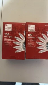 2er-Pack Home Accents Holiday 100 klare Mini-Lichter Innen Außen 20 Fuß 7 Zoll - Bild 1 von 1