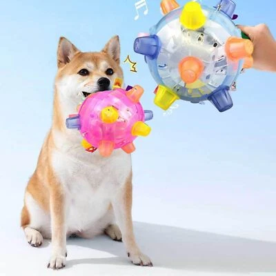 Petsboro Pet Ball, Pet Toys For Dog,  Pet Ball - Image 1 of 4