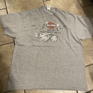 Harley Davidson Fort Wayne, IN Bugs Never Had a Chance Gray Size L - Picture 1 of 5