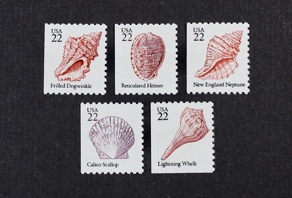 US 1985 #2117-21 complete set of 5 Sea Shells from booklet pane Mint NH - Image 1 of 1
