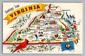 Saludos desde Virginia VA Carta Grande Mapa Estatal Pájaro Bandera Postal Años 60 - Imagen 1 de 2