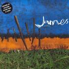 James 12" vinyl single record (Maxi) Sometimes + Print UK
