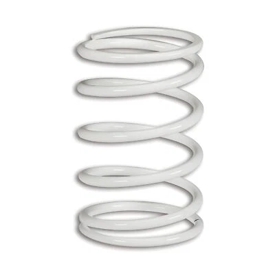 Gegendruckfeder Malossi Sport weiß Variomatik für BMW C 600 – 650 GT - Bild 1 von 4