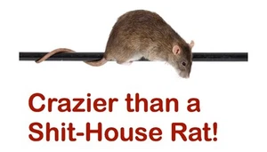Crazier than a Shit-House Rat Refrigerator Magnet - Picture 1 of 1