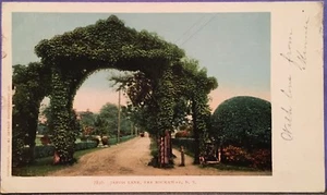 Cartolina Jarvis Lane ~ Far Rockaway NY ~ Queens ~ NY City ~ 1903 Detroit #7836 - Foto 1 di 2