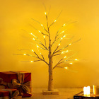 24" Pre-Lit Christmas White Birch Tree: 24 Led Battery Lights, Table Centerpiece